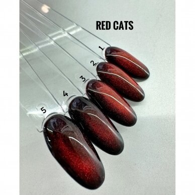 FARB PROFESSIONAL Red Cat's 2 2