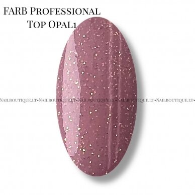 Farb Professional TOP no wipe OPAL 1 (11 ml) 2